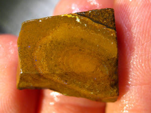 116 cts Australien Roh/rough Yowah Boulder Matrix Opal Sammler Schleifer LOW Quality