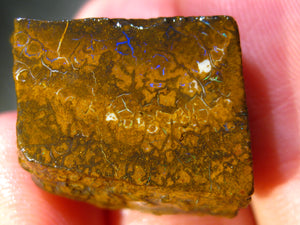 144 cts Australien Roh/rough Yowah Boulder Matrix Opal Sammler Schleifer LOW Quality