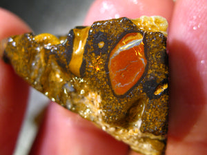 150 cts Australien Roh/rough Yowah Boulder Matrix Opal Sammler Schleifer LOW Quality