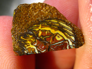 119 cts Australien Roh/rough Yowah Boulder Matrix Opal Sammler Schleifer LOW Quality
