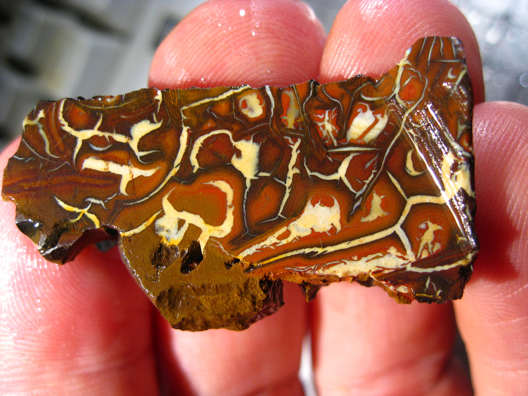 55 cts Australien Roh/rough Yowah Boulder Matrix Opal Sammler Schleifer