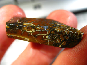 37 cts Australien Roh/rough Yowah Boulder Matrix Opal Sammler Schleifer