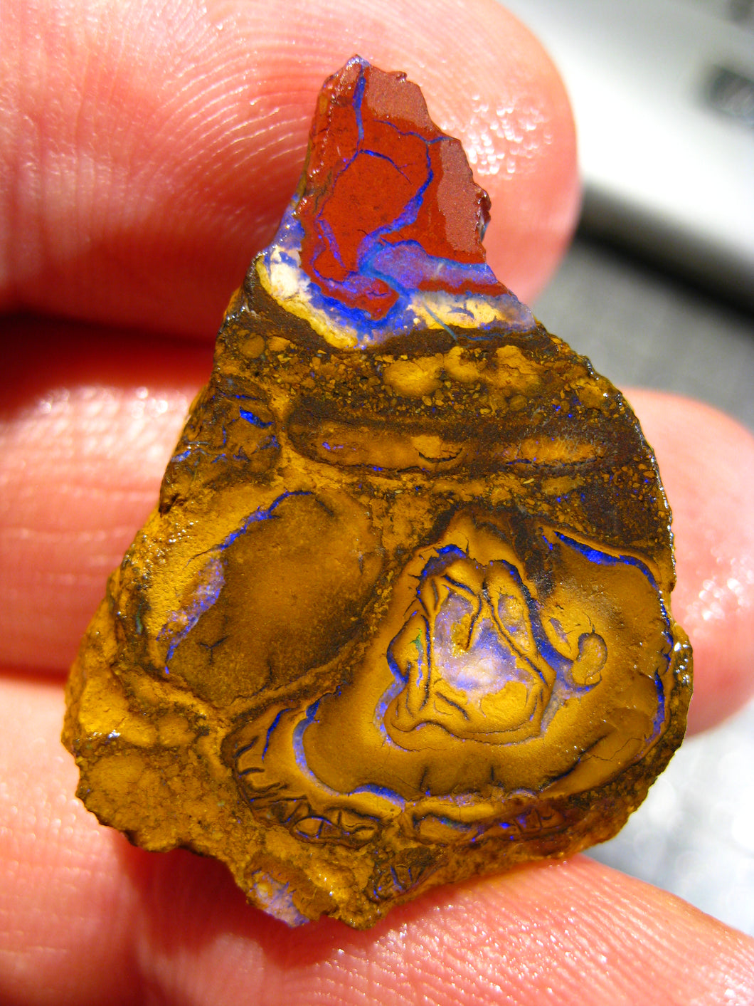 33 cts Australien Roh/rough Yowah Boulder Matrix Opal Sammler Schleifer