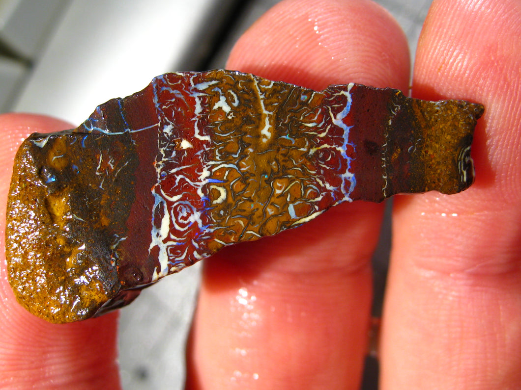 56 cts Australien Roh/rough Yowah Boulder Matrix Opal Sammler Schleifer