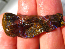 Laden Sie das Bild in den Galerie-Viewer, 56 cts Australien Roh/rough Yowah Boulder Matrix Opal Sammler Schleifer