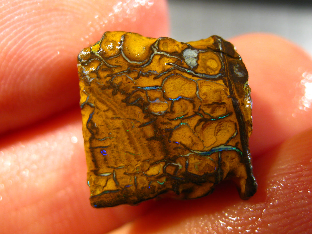 13 cts Australien Roh/rough Yowah Boulder Matrix Opal Sammler Schleifer