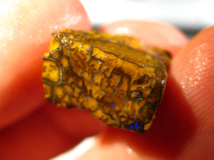 13 cts Australien Roh/rough Yowah Boulder Matrix Opal Sammler Schleifer