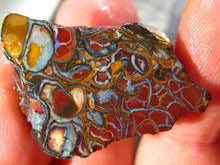 Laden Sie das Bild in den Galerie-Viewer, 48 cts Australien Roh/rough Yowah Boulder Matrix Opal Sammler Schleifer