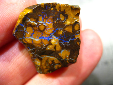 44 cts Australien Roh/rough Yowah Boulder Matrix Opal Sammler Schleifer