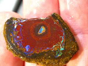 28 cts Australien Roh/rough Yowah Boulder Matrix Opal Sammler Schleifer