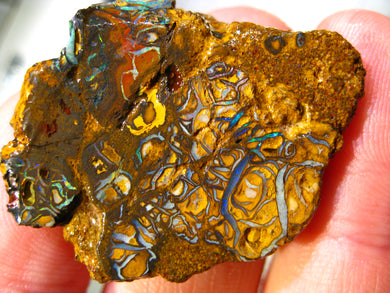 58 cts Australien Roh/rough Yowah Boulder Matrix Opal Sammler Schleifer