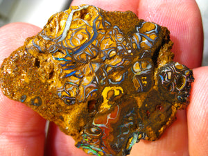 58 cts Australien Roh/rough Yowah Boulder Matrix Opal Sammler Schleifer