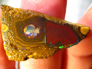 27 cts Australien Roh/rough Yowah Boulder Matrix Opal Sammler Schleifer