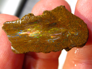 20 cts Australien Roh/rough Yowah Boulder Matrix Opal Sammler Schleifer