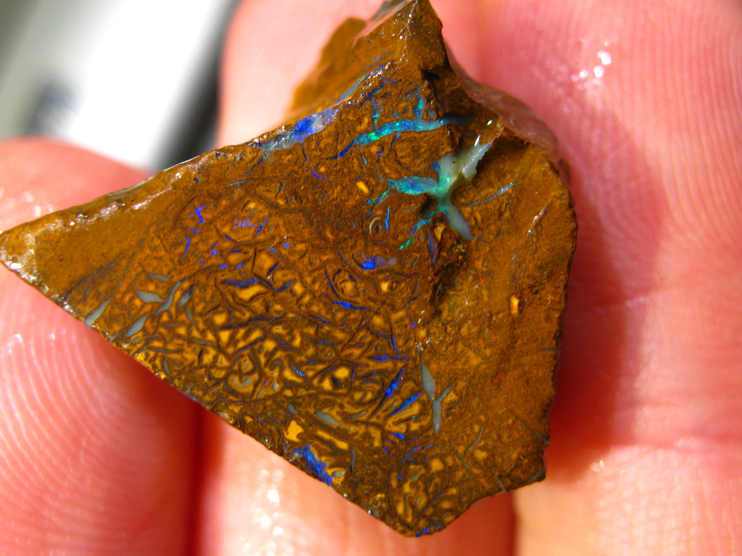 36 cts Australien Roh/rough Yowah Boulder Matrix Opal Sammler Schleifer