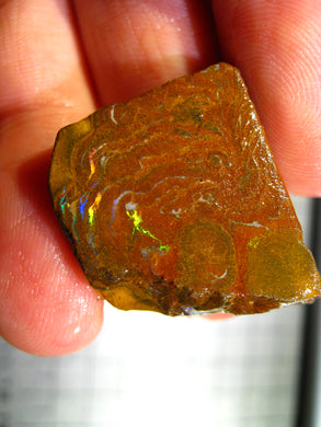 40 cts Australien Roh/rough Yowah Boulder Matrix Opal Sammler Schleifer