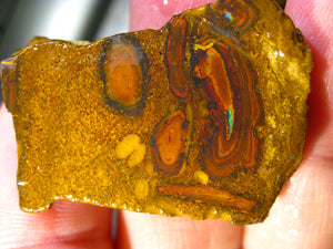 280 cts Australien Roh/rough Yowah Boulder Matrix Opal Sammler Schleifer