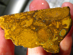 251 cts Australien Roh/rough Yowah Boulder Matrix Opal Sammler Schleifer