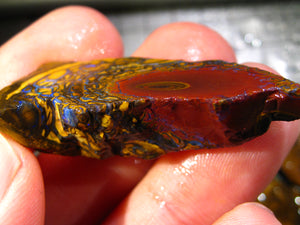 213 cts Australien Roh/rough Yowah Boulder Matrix Opal Sammler Schleifer