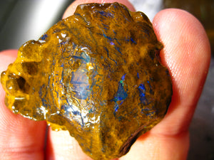 230 cts Australien Roh/rough Yowah Boulder Matrix Opal Sammler Schleifer