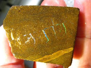 230 cts Australien Roh/rough Yowah Boulder Matrix Opal Sammler Schleifer