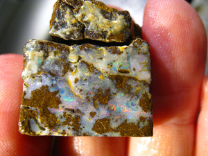 260 cts Australien Roh/rough Yowah Boulder Matrix Opal Sammler Schleifer