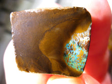 Laden Sie das Bild in den Galerie-Viewer, 220 cts Australien Roh/rough Yowah Boulder Matrix Opal Sammler Schleifer