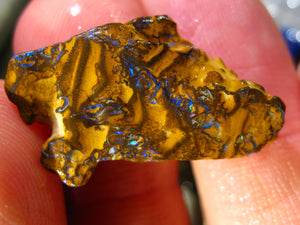 231 cts Australien Roh/rough Yowah Boulder Matrix Opal Sammler Schleifer LOW Quality