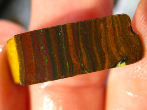 259 cts Australien Roh/rough Yowah Boulder Matrix Opal Sammler Schleifer LOW Quality