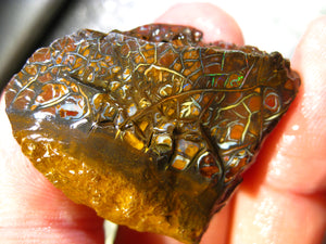 100 cts Australien Roh/rough Yowah Boulder Matrix Opal Sammler Schleifer