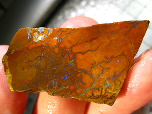 80 cts Australien Roh/rough Yowah Boulder Matrix Opal Sammler Schleifer