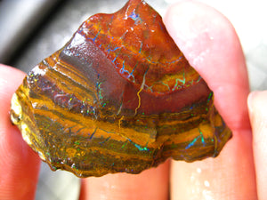 70 cts Australien Roh/rough Yowah Boulder Matrix Opal Sammler Schleifer