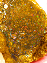 Laden Sie das Bild in den Galerie-Viewer, 31 cts Australien Roh/rough Yowah Nuss Nut Boulder Matrix Opal Sammler Schleifer mit VORSCHAU Video