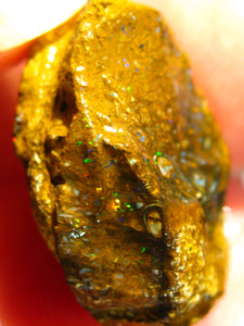 31 cts Australien Roh/rough Yowah Nuss Nut Boulder Matrix Opal Sammler Schleifer mit VORSCHAU Video