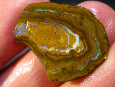 24 cts Australien Roh/rough Yowah Nuss Nut Boulder Matrix Opal Sammler Schleifer mit VORSCHAU Video
