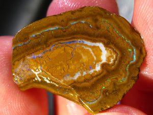 24 cts Australien Roh/rough Yowah Nuss Nut Boulder Matrix Opal Sammler Schleifer mit VORSCHAU Video