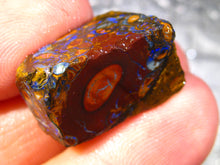 Laden Sie das Bild in den Galerie-Viewer, 37 cts Australien Roh/rough Yowah Nuss Nut Boulder Matrix Opal Sammler Schleifer mit VORSCHAU Video - Repps-Opal