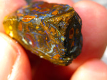 Laden Sie das Bild in den Galerie-Viewer, 37 cts Australien Roh/rough Yowah Nuss Nut Boulder Matrix Opal Sammler Schleifer mit VORSCHAU Video - Repps-Opal