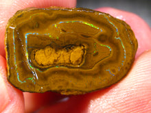 Laden Sie das Bild in den Galerie-Viewer, 32 cts Australien Roh/rough Yowah Nuss Nut Boulder Matrix Opal Sammler Schleifer