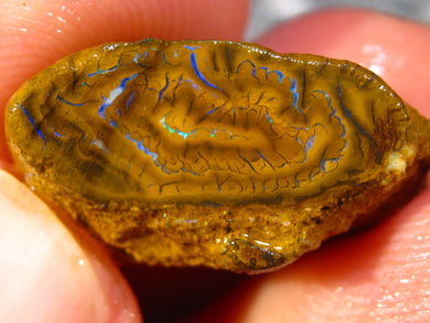 17 cts Australien Roh/rough Yowah Nuss Nut Boulder Matrix Opal Sammler Schleifer