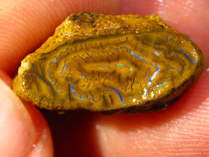 17 cts Australien Roh/rough Yowah Nuss Nut Boulder Matrix Opal Sammler Schleifer