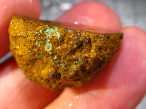 42 cts Australien Roh/rough Yowah Nuss Nut Boulder Matrix Opal Sammler Schleifer