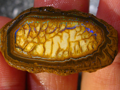 45 cts Australien Roh/rough Yowah Nuss Nut Boulder Matrix Opal Sammler Schleifer