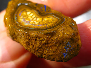 45 cts Australien Roh/rough Yowah Nuss Nut Boulder Matrix Opal Sammler Schleifer
