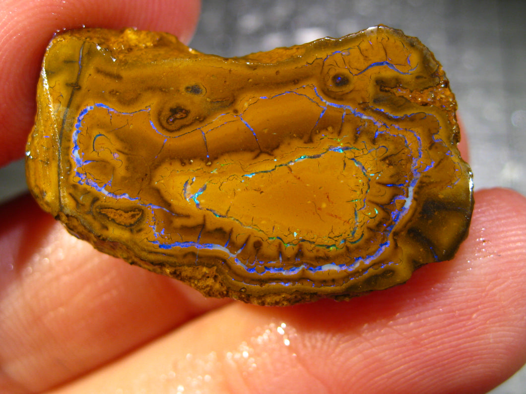 34 cts Australien Roh/rough Yowah Nuss Nut Boulder Matrix Opal Sammler Schleifer