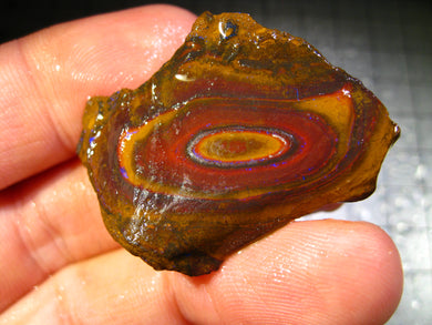 68 cts Australien Roh/rough Yowah Nuss Nut Boulder Matrix Opal Sammler Schleifer