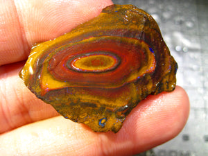 68 cts Australien Roh/rough Yowah Nuss Nut Boulder Matrix Opal Sammler Schleifer