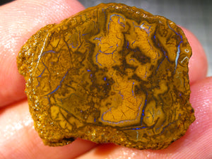 50 cts Australien Roh/rough Yowah Nuss Nut Boulder Matrix Opal Sammler Schleifer