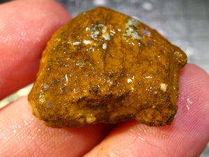 50 cts Australien Roh/rough Yowah Nuss Nut Boulder Matrix Opal Sammler Schleifer