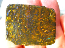 Laden Sie das Bild in den Galerie-Viewer, 96 cts Australien Roh/rough Yowah Nuss Nut Boulder Matrix Opal Sammler Schleifer